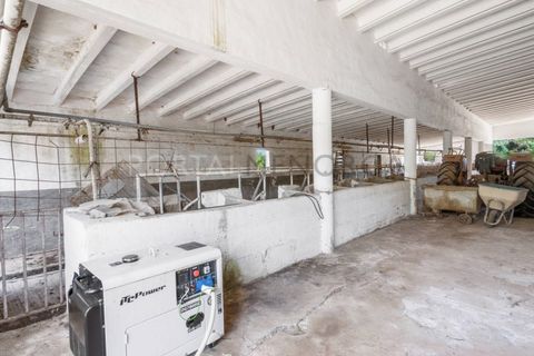 Landejendom i Es Grau, Menorca, Es Grau - € 2.250.000 | Ref: C702 - foto 48