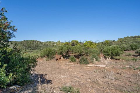 Landejendom i Es Grau, Menorca, Es Grau - € 2.250.000 | Ref: C702 - foto 49