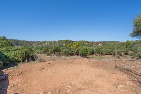 Landejendom i Es Grau, Menorca, Es Grau - € 2.250.000 | Ref: C702 - foto 50