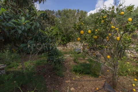 Villa a Es Castell, Menorca, Es Castell - € 690.000 | Ref: S3427 - foto 30