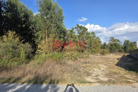 Helårsgrund i Viseu, Viseu, Viseu - € 62.500 | Ref: 189252245 - foto 1