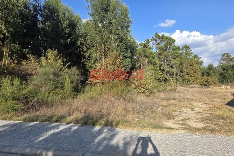 Helårsgrund i Viseu, Viseu, Viseu - € 62.500 | Ref: 189252245 - foto 2
