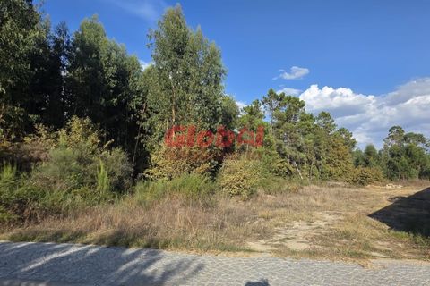 Helårsgrund i Viseu, Viseu, Viseu - € 62.500 | Ref: 189252245 - foto 3