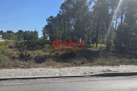 Helårsgrund i Viseu, Viseu, Viseu - € 55.000 | Ref: 189252234 - foto 1