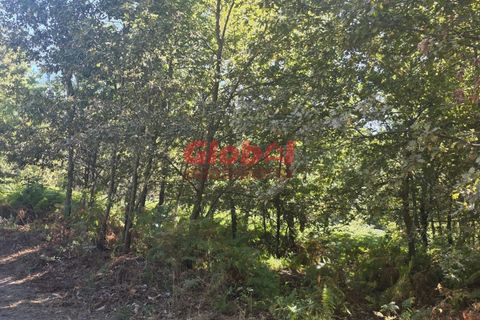 Helårsgrund i Viseu, Viseu, Viseu - € 120.000 | Ref: 189252235 - foto 1