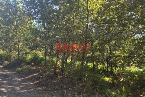 Helårsgrund i Viseu, Viseu, Viseu - € 120.000 | Ref: 189252235 - foto 2