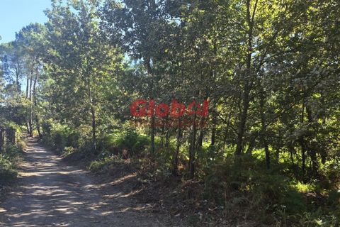 Helårsgrund i Viseu, Viseu, Viseu - € 120.000 | Ref: 189252235 - foto 3