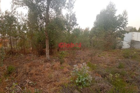 Helårsgrund i Viseu, Viseu, Viseu - € 65.000 | Ref: 189252258 - foto 1