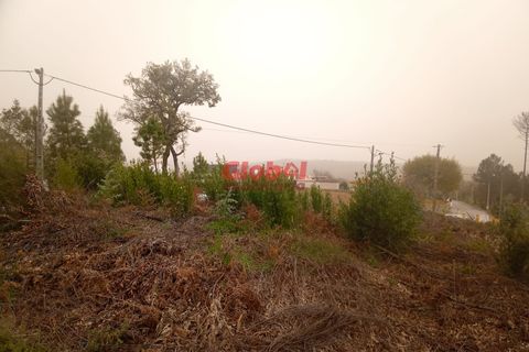 Helårsgrund i Viseu, Viseu, Viseu - € 65.000 | Ref: 189252258 - foto 3