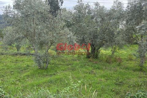 Helårsgrund i Viseu, Viseu, Viseu - € 70.000 | Ref: 189252263 - foto 1