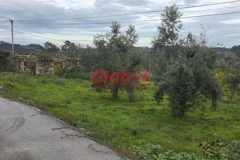 Helårsgrund i Viseu, Viseu, Viseu - € 70.000 | Ref: 189252263 - foto 3
