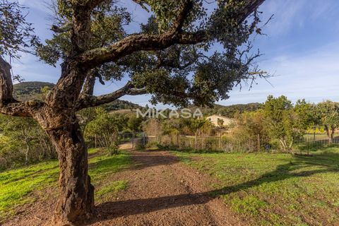 Villa i Aljezur, Faro, Aljezur - € 1.270.000 | Ref: M176 - foto 9