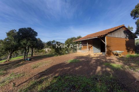 Villa i Aljezur, Faro, Aljezur - € 1.270.000 | Ref: M176 - foto 11
