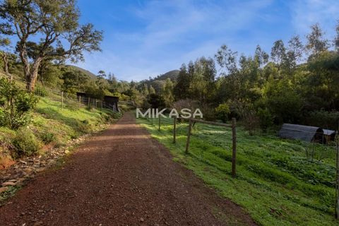 Villa i Aljezur, Faro, Aljezur - € 1.270.000 | Ref: M176 - foto 12