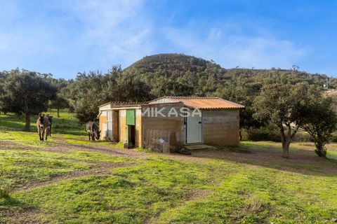 Villa i Aljezur, Faro, Aljezur - € 1.270.000 | Ref: M176 - foto 13