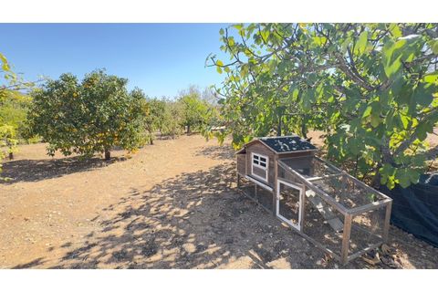 Helårsgrund i Estoi, Faro, Estoi - € 95.000 | Ref: VC-0962 - foto 5