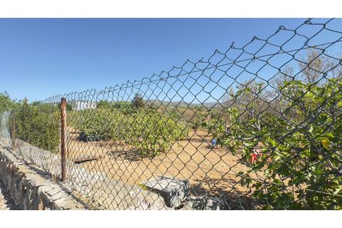 Helårsgrund i Estoi, Faro, Estoi - € 95.000 | Ref: VC-0962 - foto 13