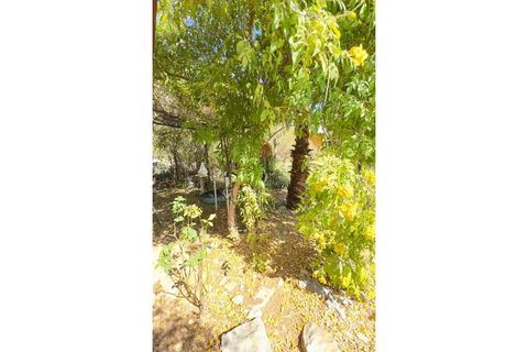 Helårsgrund i Estoi, Faro, Estoi - € 95.000 | Ref: VC-0962 - foto 21