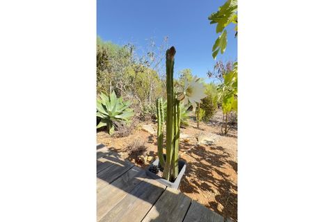 Helårsgrund i Estoi, Faro, Estoi - € 95.000 | Ref: VC-0962 - foto 26