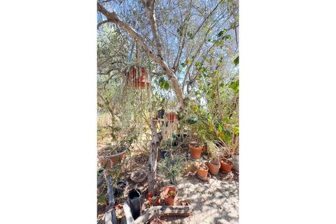Helårsgrund i Estoi, Faro, Estoi - € 95.000 | Ref: VC-0962 - foto 37
