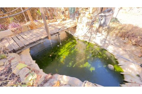 Helårsgrund i Estoi, Faro, Estoi - € 95.000 | Ref: VC-0962 - foto 39