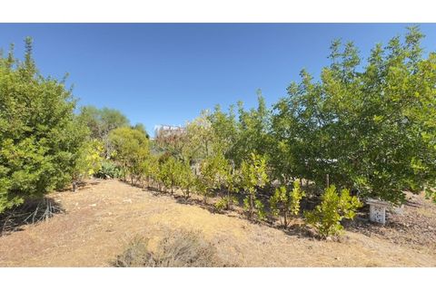 Helårsgrund i Estoi, Faro, Estoi - € 95.000 | Ref: VC-0962 - foto 40