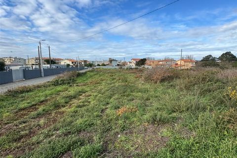 Helårsgrund i Vila do Conde, Porto, Vila do Conde - € 3.100.000 | Ref: 511521082 - foto 2