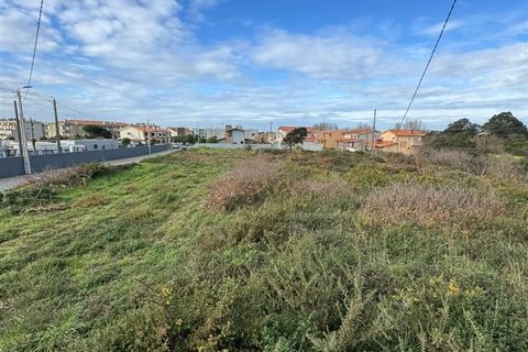 Helårsgrund i Vila do Conde, Porto, Vila do Conde - € 3.100.000 | Ref: 511521082 - foto 4
