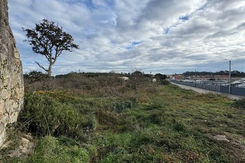 Helårsgrund i Vila do Conde, Porto, Vila do Conde - € 3.100.000 | Ref: 511521082 - foto 5