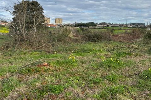 Helårsgrund i Vila do Conde, Porto, Vila do Conde - € 3.100.000 | Ref: 511521082 - foto 6