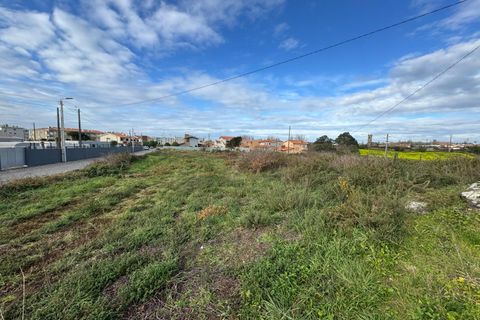 Helårsgrund i Vila do Conde, Porto, Vila do Conde - € 3.100.000 | Ref: 511521082 - foto 8