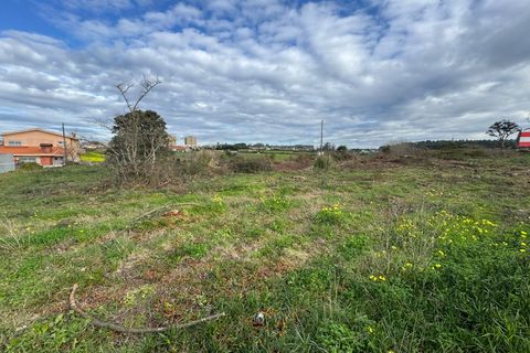 Helårsgrund i Vila do Conde, Porto, Vila do Conde - € 3.100.000 | Ref: 511521082 - foto 10