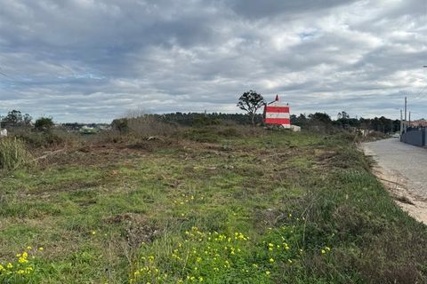 Helårsgrund i Vila do Conde, Porto, Vila do Conde - € 3.100.000 | Ref: 511521082 - foto 11