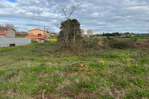 Helårsgrund i Vila do Conde, Porto, Vila do Conde - € 3.100.000 | Ref: 511521082 - foto 13