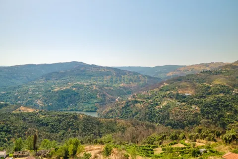 Villa a Ancede e Ribadouro, Porto, Ancede e Ribadouro - € 70.000 | Ref: C0471-00351 - foto 15