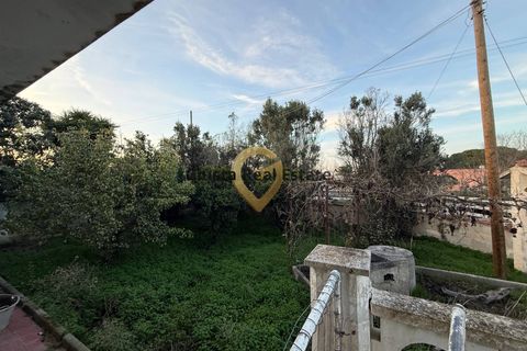 Villa i Brindisi, Brindisi, Brindisi - € 69.000 | Ref: 9090-91382 - foto 24