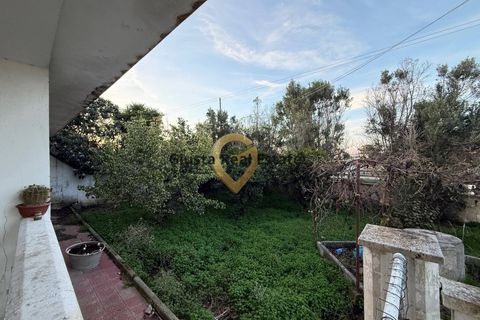Villa i Brindisi, Brindisi, Brindisi - € 69.000 | Ref: 9090-91382 - foto 25