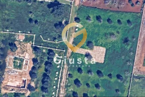 Helårsgrund i Carovigno, Brindisi, Carovigno - € 29.000 | Ref: 9090-91469 - foto 4