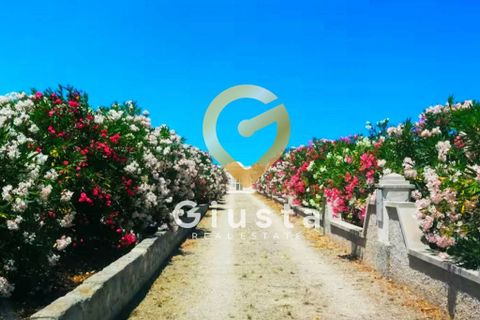Lejlighed i Ostuni, Brindisi, Ostuni - € 515.000 | Ref: 9090-91472 - foto 3