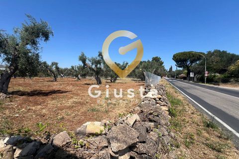 Helårsgrund i Mesagne, Brindisi, Mesagne - € 73.000 | Ref: 9090-91484 - foto 1