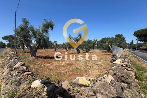 Helårsgrund i Mesagne, Brindisi, Mesagne - € 73.000 | Ref: 9090-91484 - foto 2