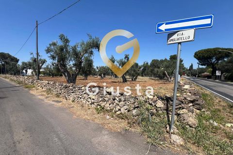 Helårsgrund i Mesagne, Brindisi, Mesagne - € 73.000 | Ref: 9090-91484 - foto 3