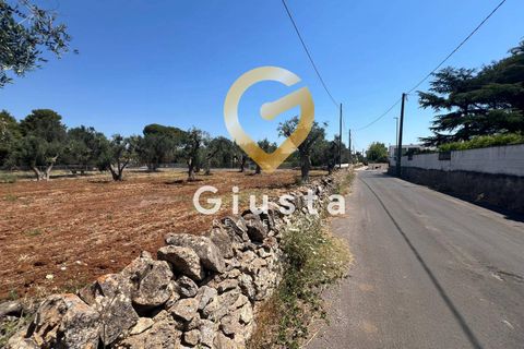 Helårsgrund i Mesagne, Brindisi, Mesagne - € 73.000 | Ref: 9090-91484 - foto 4