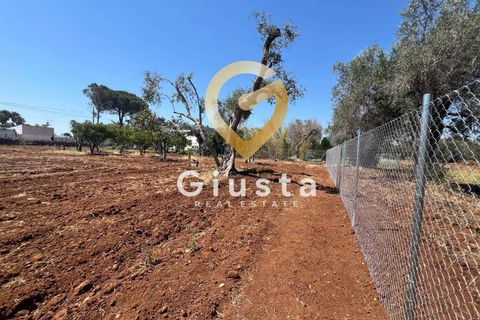 Helårsgrund i Mesagne, Brindisi, Mesagne - € 73.000 | Ref: 9090-91484 - foto 5