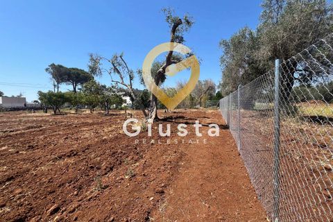 Helårsgrund i Mesagne, Brindisi, Mesagne - € 73.000 | Ref: 9090-91484 - foto 6