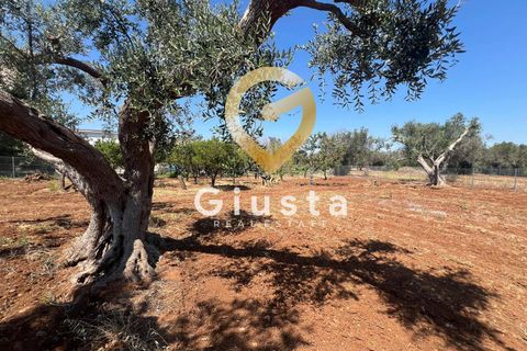 Helårsgrund i Mesagne, Brindisi, Mesagne - € 73.000 | Ref: 9090-91484 - foto 9