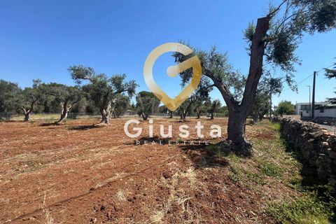 Helårsgrund i Mesagne, Brindisi, Mesagne - € 73.000 | Ref: 9090-91484 - foto 12