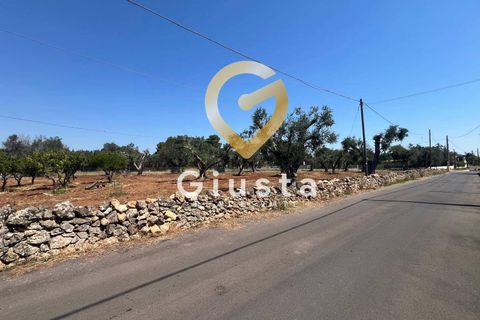 Helårsgrund i Mesagne, Brindisi, Mesagne - € 73.000 | Ref: 9090-91484 - foto 14