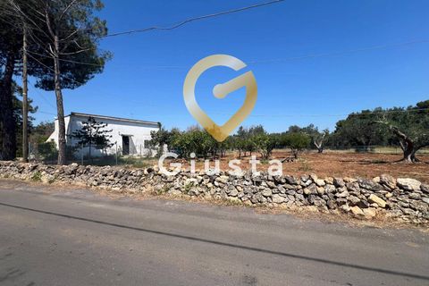Helårsgrund i Mesagne, Brindisi, Mesagne - € 73.000 | Ref: 9090-91484 - foto 15