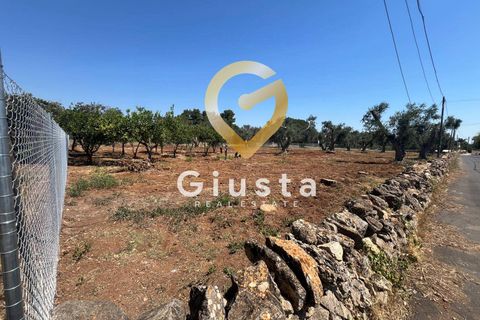 Helårsgrund i Mesagne, Brindisi, Mesagne - € 73.000 | Ref: 9090-91484 - foto 16